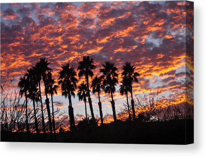 Clouds Canvas Print featuring the photograph Bloody Sunset Over The Desert by Jay Milo