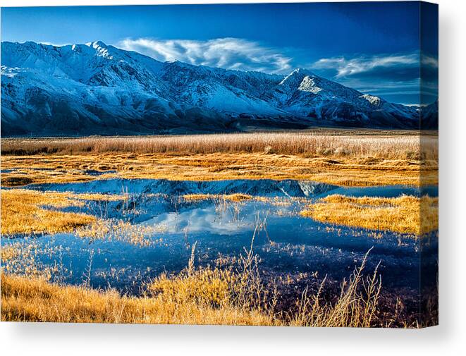 Water Canvas Print featuring the photograph Blue and Yellow by Cat Connor