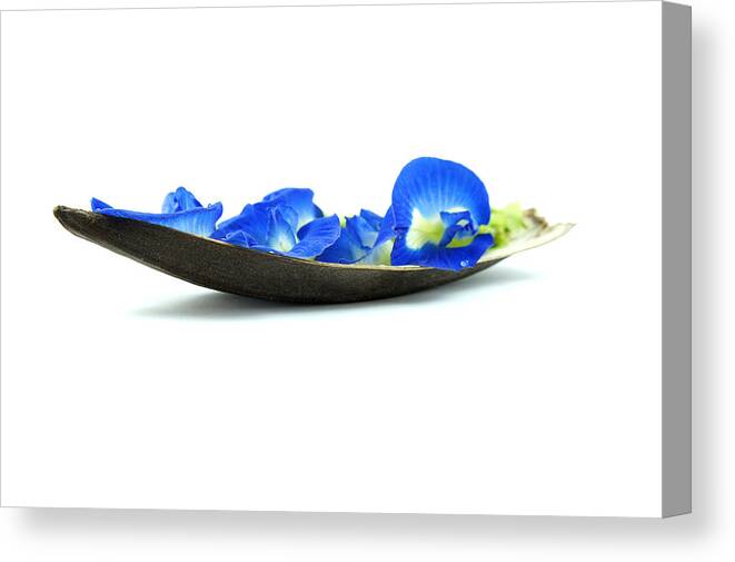 Flower Canvas Print featuring the photograph Blue Flower Boat by Aged Pixel