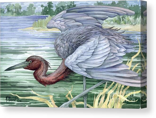 Coast Canvas Print featuring the painting Blue Heron by Paul Brent