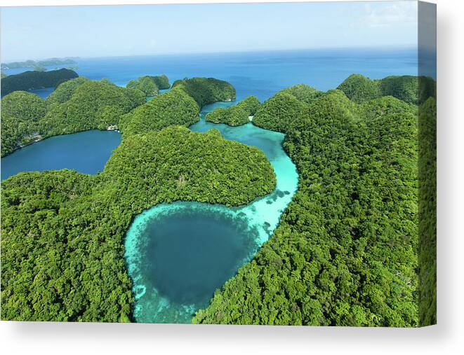 Scenics Canvas Print featuring the photograph Blue Hole And Lush Tropical Rock by Ippei Naoi
