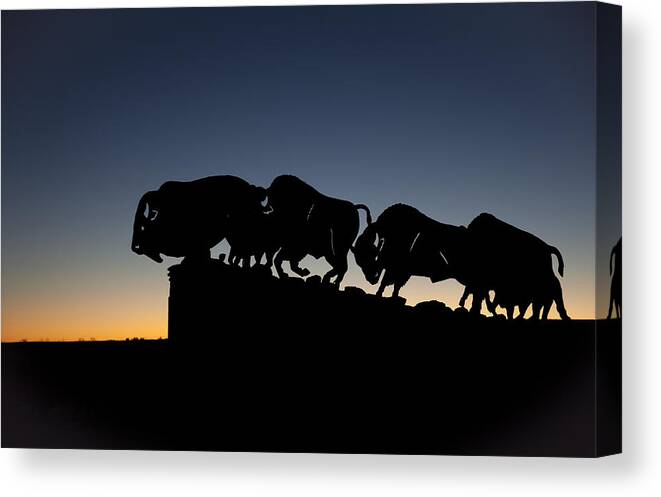 Animals Art Canvas Print featuring the photograph Blue Hour at Caprock Canyons State Park by Melany Sarafis
