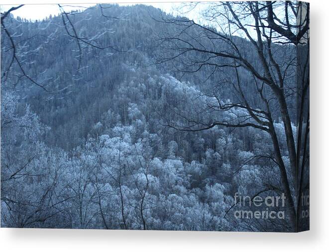 Blue Mountain Canvas Print featuring the photograph Blue Mountain by Jeanne Forsythe