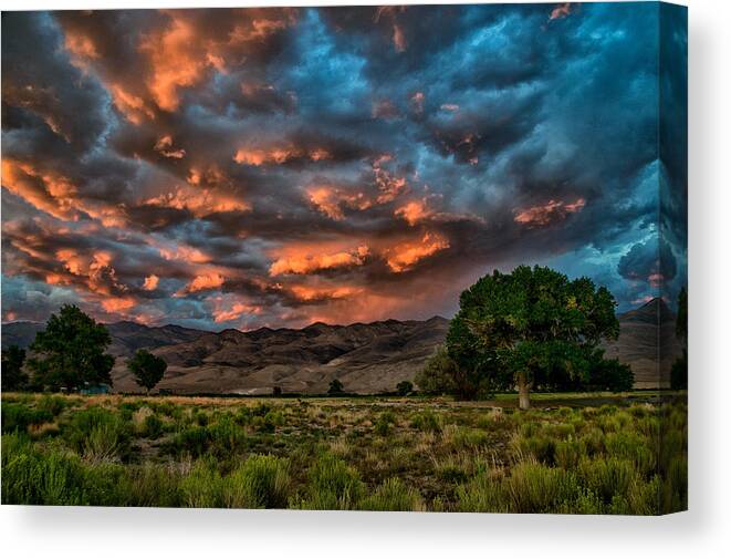 Sunset Canvas Print featuring the photograph Blue Sunset by Cat Connor