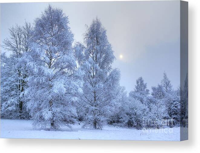 Winter Canvas Print featuring the photograph Blue Winter by David Birchall