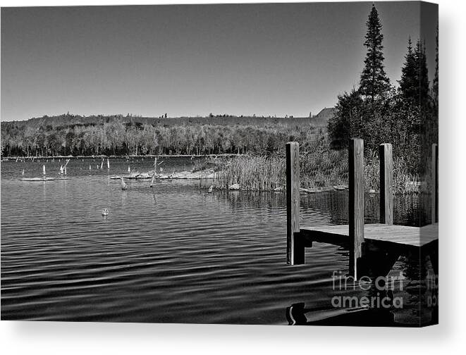 Black And White Photography Canvas Print featuring the photograph Boat Dock Black and White by Gwen Gibson