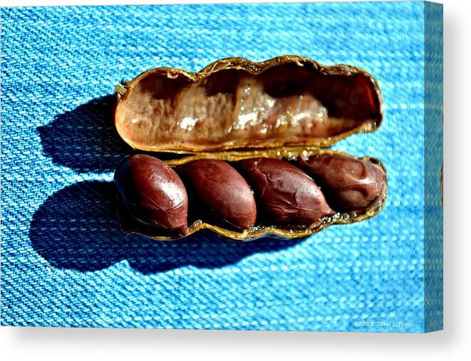 Boiled Peanuts Canvas Print featuring the photograph Boiled Peanuts by Tara Potts