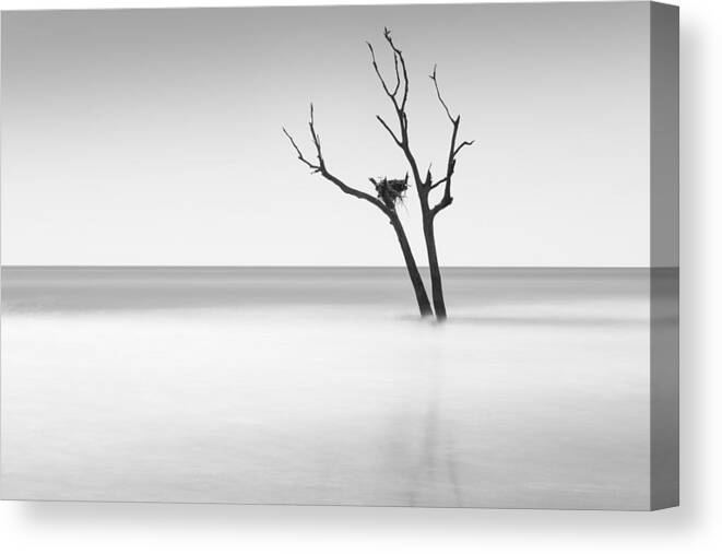 Bulls Island Canvas Print featuring the photograph Boneyard Beach - II by Ivo Kerssemakers