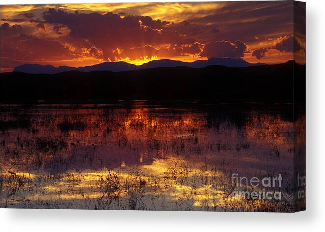 Bosque Canvas Print featuring the photograph Bosque Sunset - orange by Steven Ralser