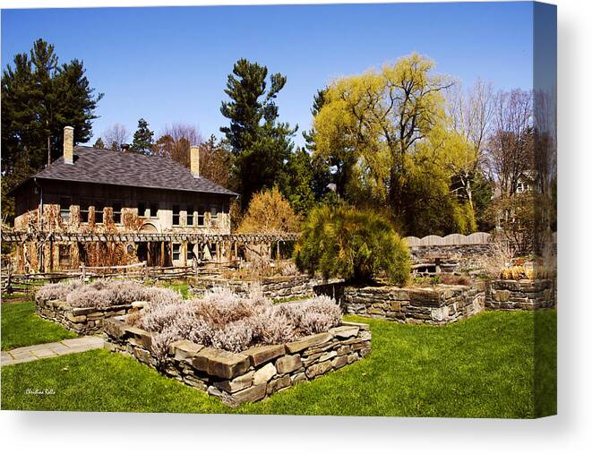 Botanical Gardens Canvas Print featuring the photograph Botanical Garden by Christina Rollo