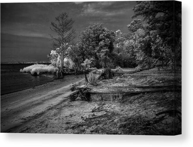 B&w Canvas Print featuring the photograph Botany Bay 0010 by Donald Brown