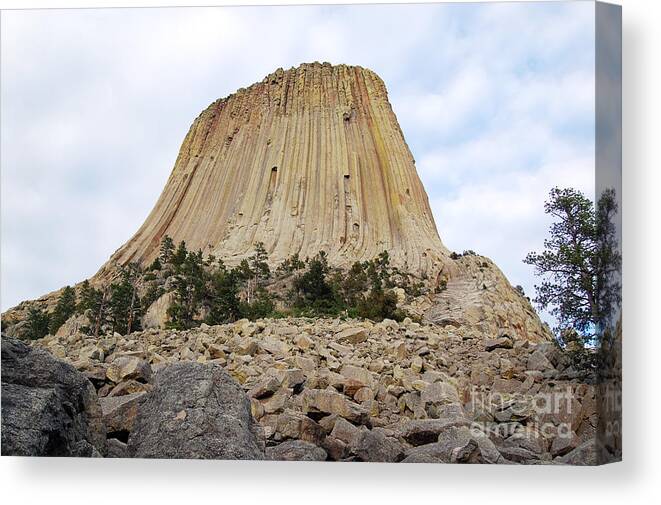 Travelpixpro Devils Tower Canvas Print featuring the photograph Boulder Field beneath Devils Tower National Monument Wyoming USA by Shawn O'Brien