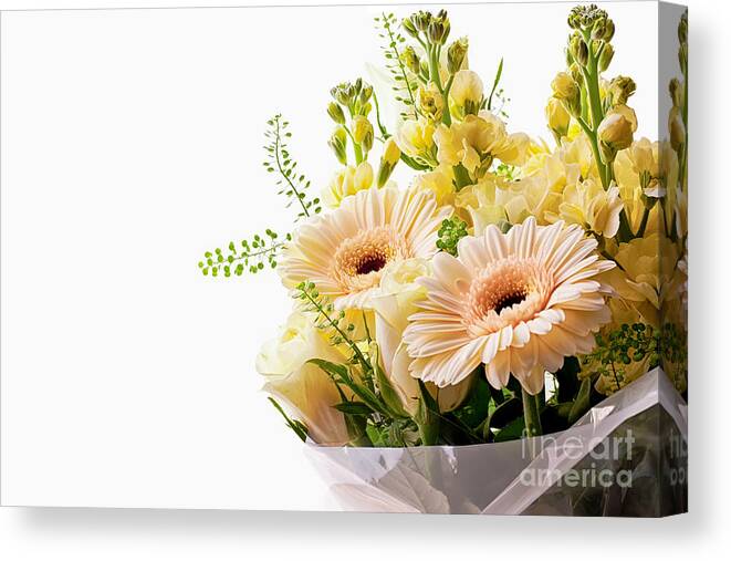 Flower Canvas Print featuring the photograph Bouquet of flowers on white background by Simon Bratt