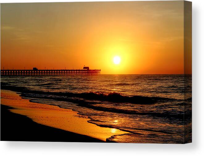 Myrtle Canvas Print featuring the photograph Bright by Jimmy McDonald