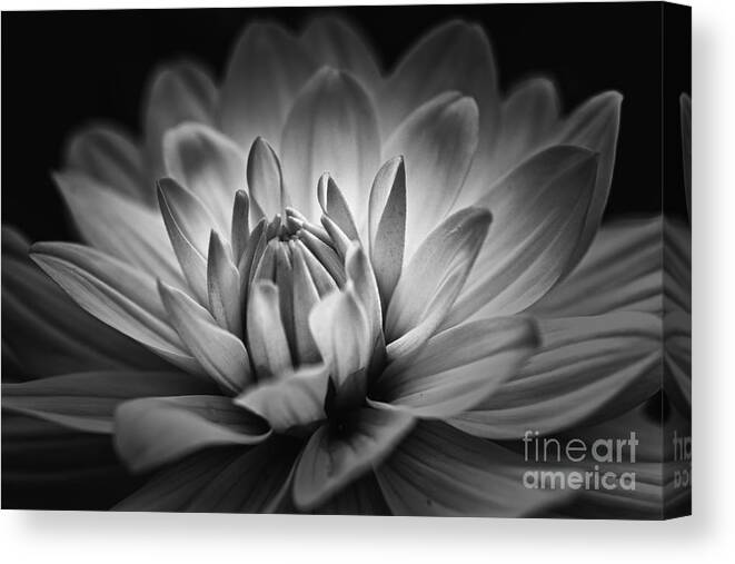 # Nature Canvas Print featuring the photograph Brilliance by Mary Lou Chmura