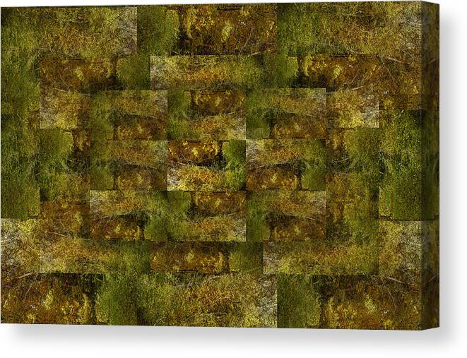 Digital Nature Weave Metal Abstract Bronze Tonal Canvas Print featuring the digital art Bronze Weave by Tom Romeo