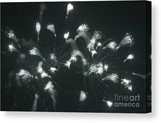 Fire Works Canvas Print featuring the photograph Brush Works by Robert Pearson