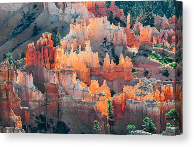 Red Canvas Print featuring the photograph Bryce Canyon at Sunrise by Ginger Wakem