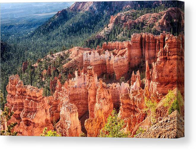 Bryce Canyon Canvas Print featuring the photograph Bryce Canyon Utah Views 24 by James BO Insogna