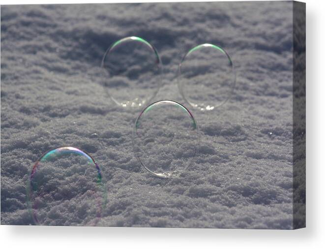 Bubbles Canvas Print featuring the photograph Bubbles In The Snow by Cathie Douglas