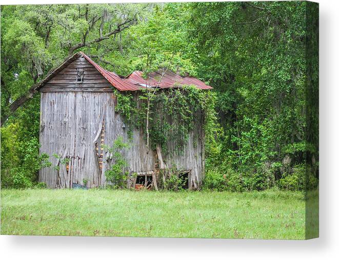 Barn Canvas Print featuring the photograph Buckling by Jessica Brown