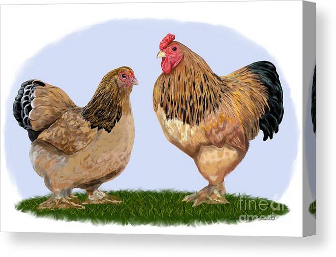 Buff Brahma Rooster and Hen Canvas Print / Canvas Art by Leigh Schilling -  Fine Art America