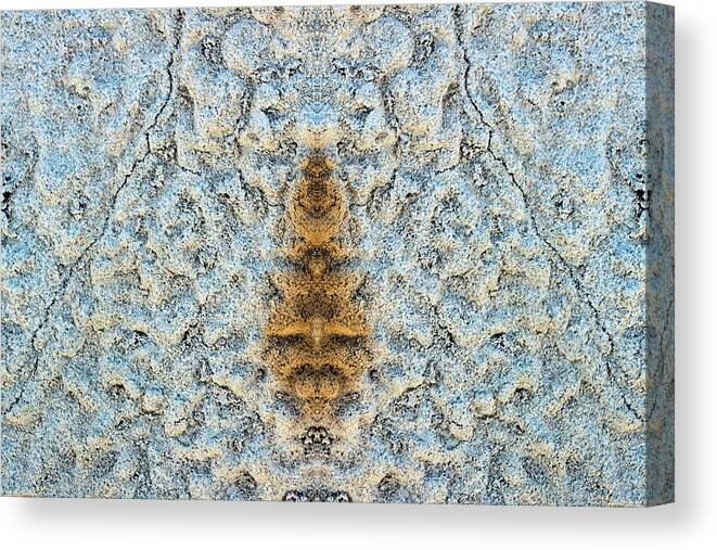 Iron Canvas Print featuring the photograph Bug Rock by Scott Carlton