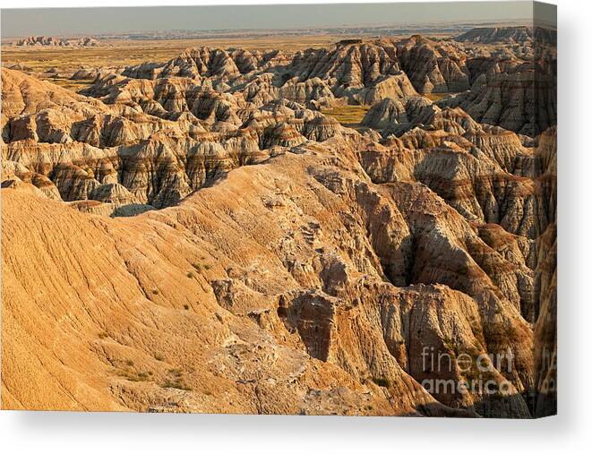 Afternoon Canvas Print featuring the photograph Burns Basin Overlook Badlands National Park by Fred Stearns