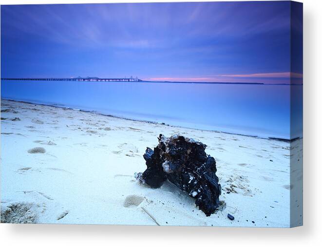 Water Canvas Print featuring the photograph Burnt Driftwood Sunset by Jennifer Casey