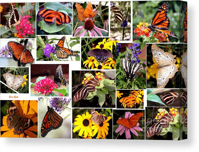 Butterfly Canvas Print featuring the photograph Butterfly Collage by Steven Spak