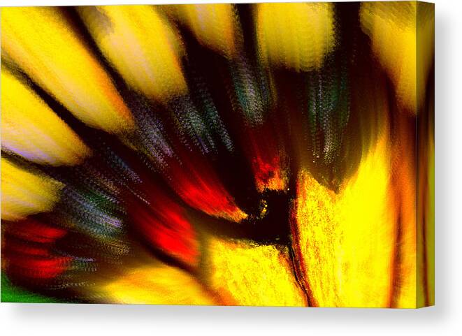 Butterfly Canvas Print featuring the digital art Butterfly Wing Pastel by Antonia Citrino