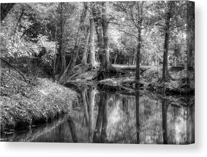 Autumn Canvas Print featuring the photograph Butternut Creek Autumn in Black and White by Greg and Chrystal Mimbs