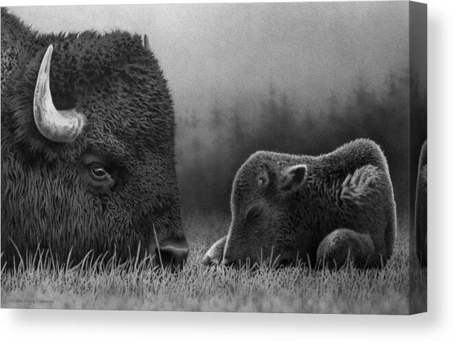 Bison Canvas Print featuring the drawing By the Forest's Edge by Stirring Images