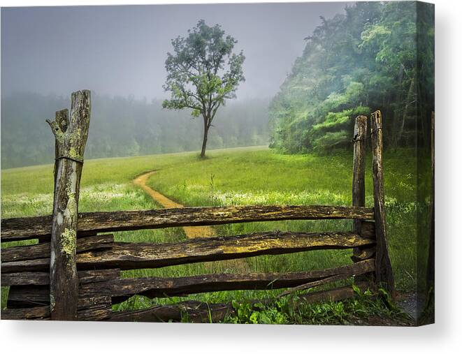 Appalachia Canvas Print featuring the photograph Cades Cove Misty Tree by Debra and Dave Vanderlaan