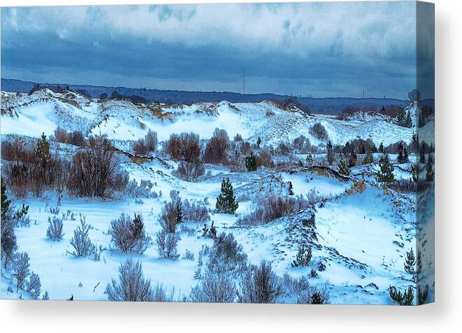 Sandy Neck Canvas Print featuring the photograph Cape Cod Snow Covered Dunes by Constantine Gregory