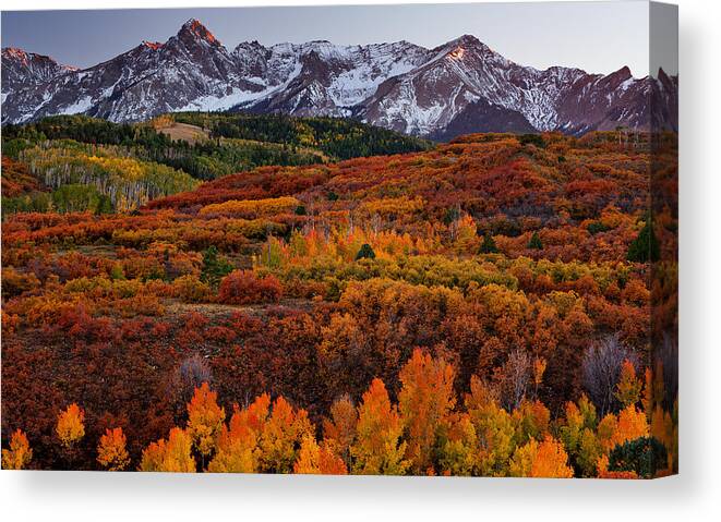 Colorado Canvas Print featuring the photograph Carpet of Color by Darren White