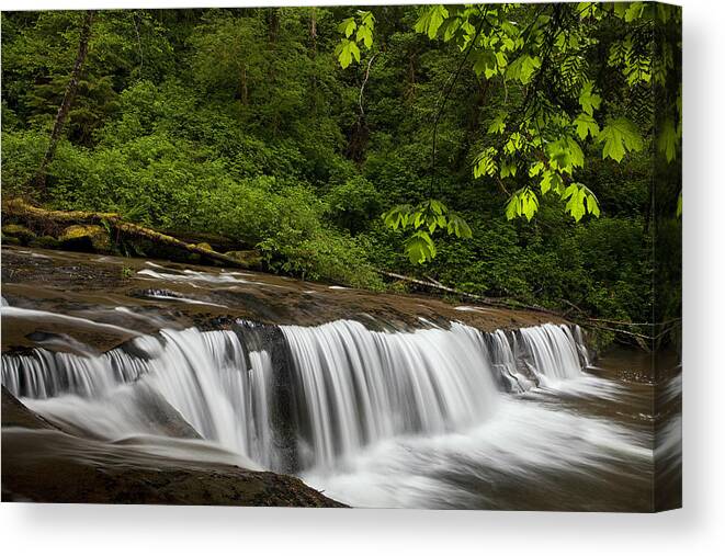 Stream Canvas Print featuring the photograph Cascades along a Creek by Andrew Soundarajan