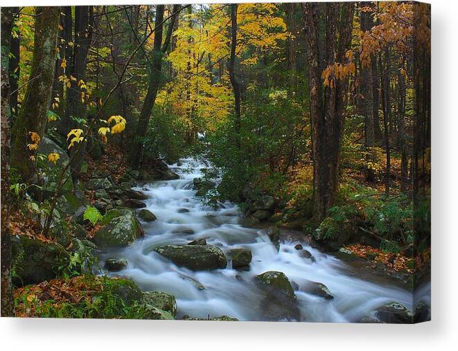 Art Prints Canvas Print featuring the photograph Cascades on the Motor Nature Trail by Nunweiler Photography
