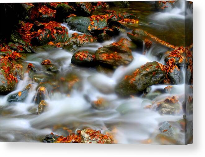 Cascading Stream Canvas Print featuring the photograph Cascading Stream by Suzanne DeGeorge
