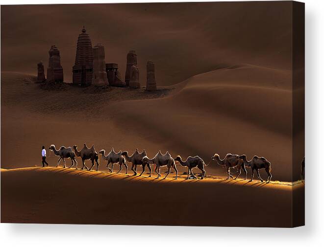 Landscape Canvas Print featuring the photograph Castle And Camels by Mei Xu