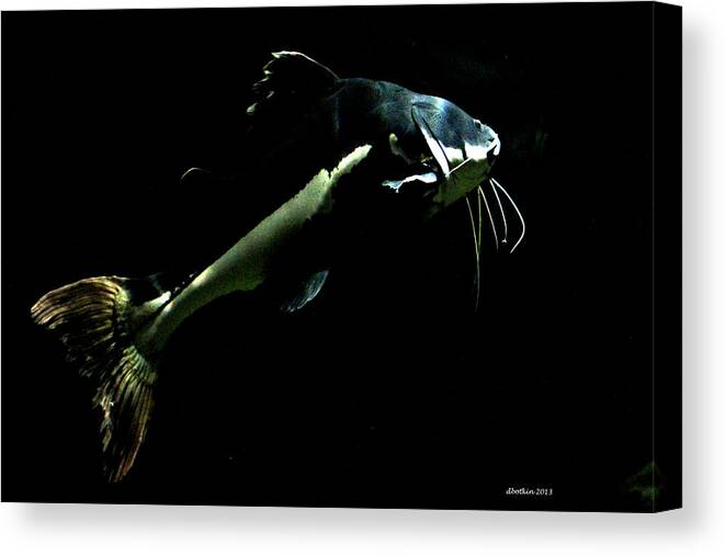Zoo Canvas Print featuring the photograph Catfish are Jumpin by Dick Botkin