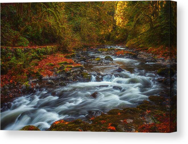 Creek Canvas Print featuring the photograph Cedar Creek Morning by Darren White