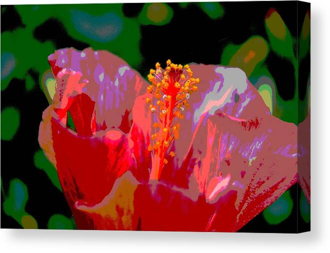 Hibiscus Canvas Print featuring the photograph Celebration by Linda Bailey