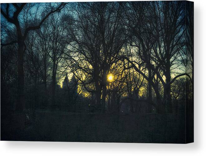 Sunset Canvas Print featuring the photograph Central Park vintage sunset by Marianne Campolongo