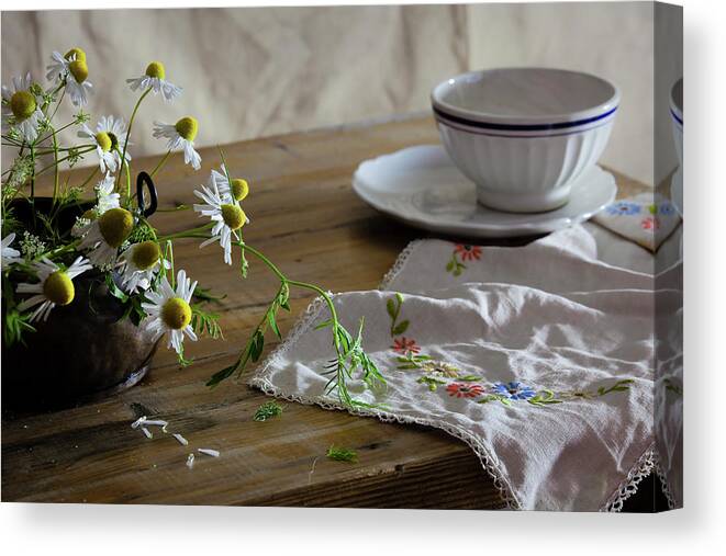 Fragility Canvas Print featuring the photograph Chamomile by Property Of Olga Ressem.