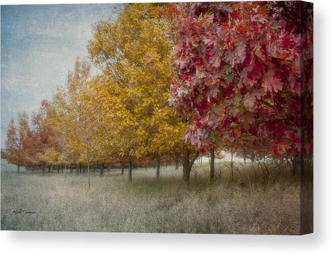 Changing Of The Seasons Canvas Print featuring the photograph Changing Of The Seasons by Jeff Swanson