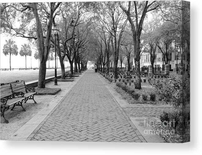 Charleston Canvas Print featuring the photograph Charleston Waterfront Park Walkway - Black and White by Carol Groenen