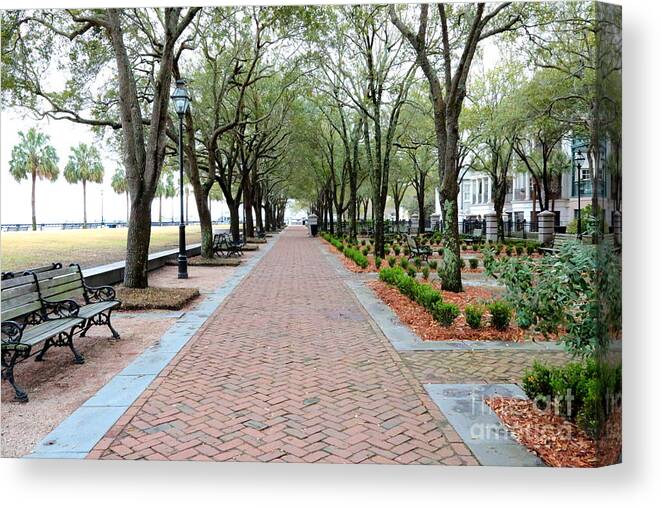 Charleston Canvas Print featuring the photograph Charleston Waterfront Park Walkway by Carol Groenen