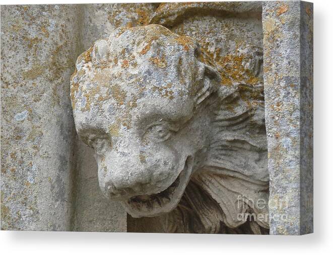 Chartres Canvas Print featuring the photograph Chartres Cathedral Carved Head by Deborah Smolinske