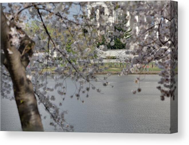 America Canvas Print featuring the photograph Cherry Blossoms with Jefferson Memorial - Washington DC - 011336 by DC Photographer